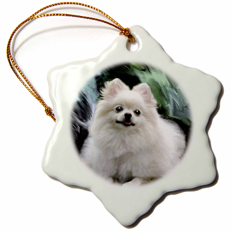 pomeranian christmas pillow